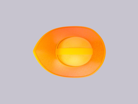 Hat881 3D Model