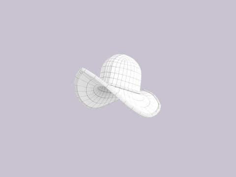 Hat881 3D Model