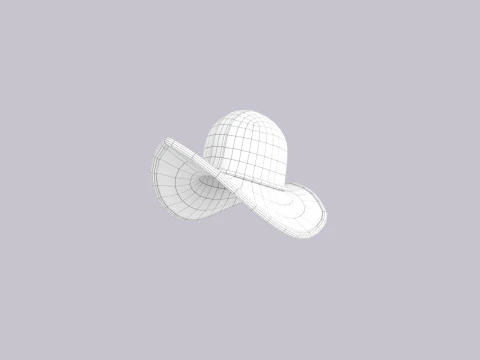 Hat881 3D Model