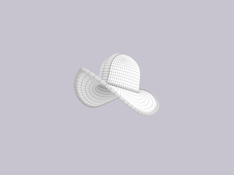 Hat881 3D Model