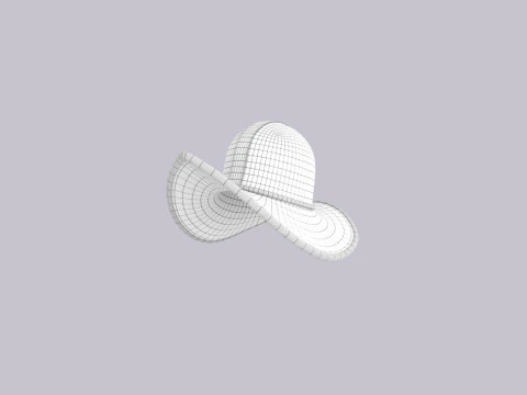 Hat881 3D Model