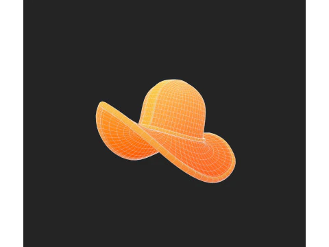 Hat881 3D Model