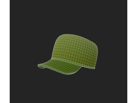 Hat883 Modello 3D