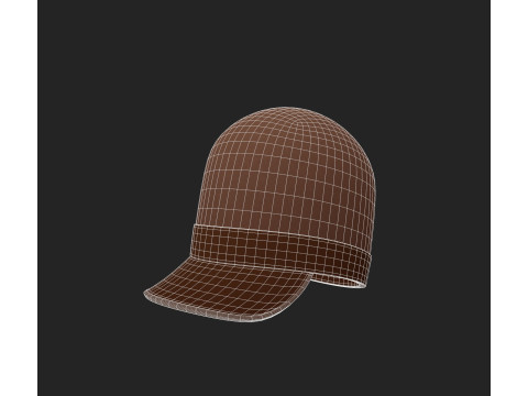 Hat884 3D Modell