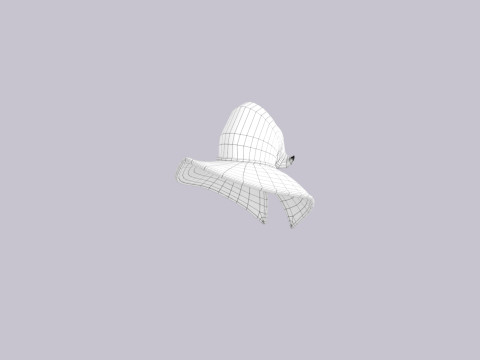 Hat889 3D Модель