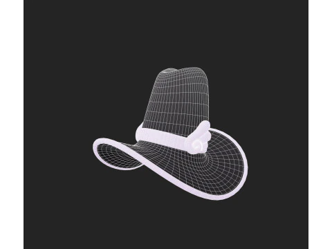 Hat894 3D Model