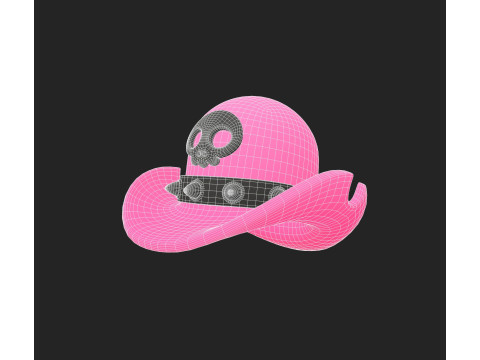 Hat896 Model 3D