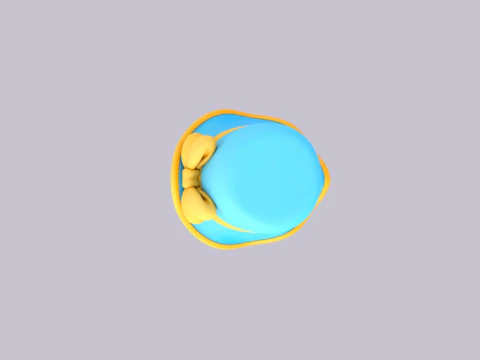 Hat902 3D Model