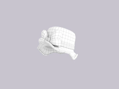 Hat902 3D Model