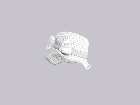 Hat902 3D Model