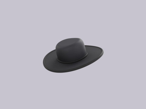 Hat905 3D 模型