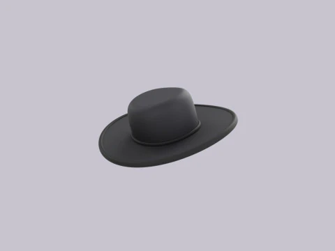 Hat905 3D Model