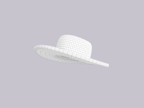 Hat905 3D Model