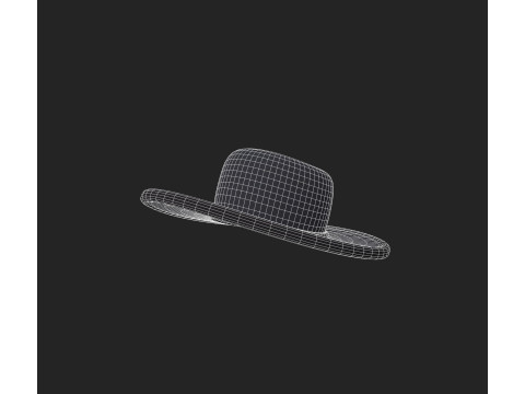 Hat905 3D 模型