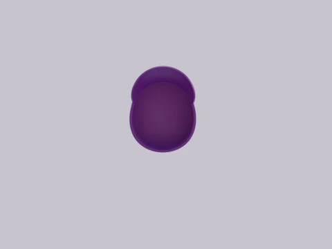 Hat908 3D Model