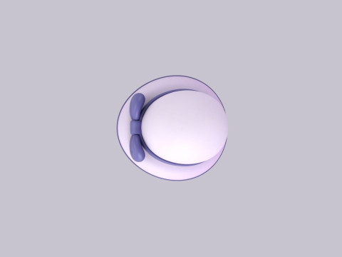 Hat962 Model 3D
