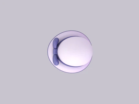 Hat962 3D Model