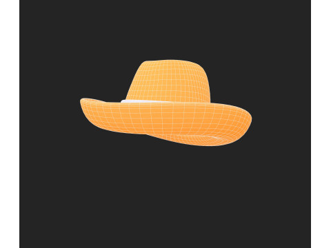 Hat965 3D Model