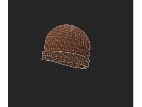 Шапка967 3D Модель
