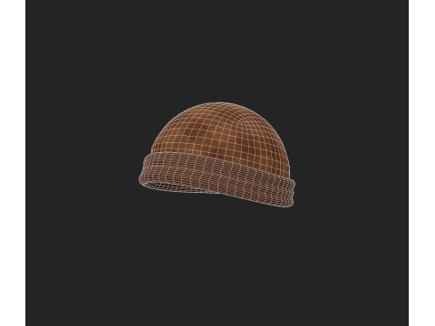 Hat970 3D Model