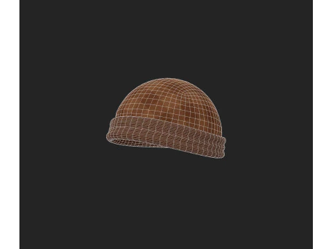 Hat970 3D Model