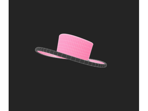 Hat973 3D मॉडल