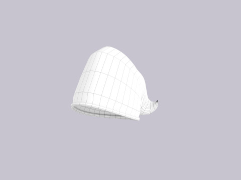 Hat974 3D Modell