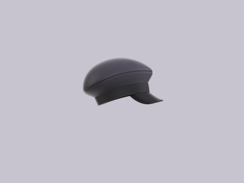 Hat990 3D 模型