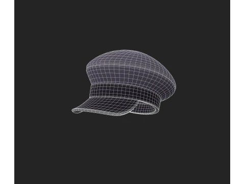 Hat990 3D Model