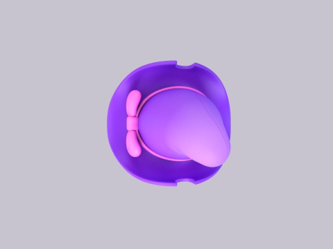 帽子1001 3Dモデル