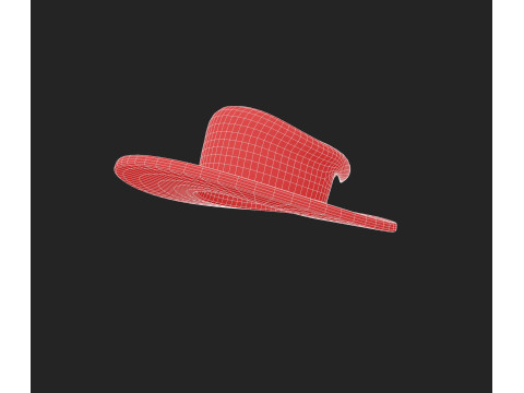 Hat1007 Modello 3D