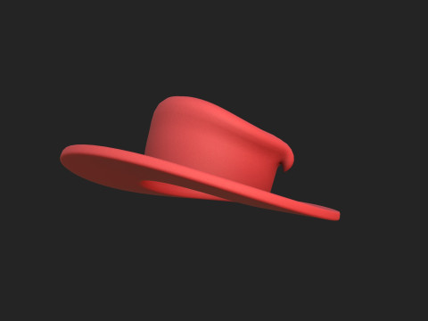 Hat1007 Modello 3D