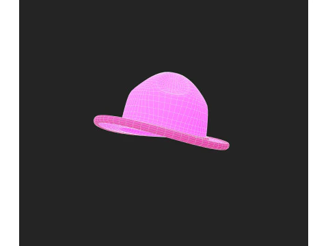 Hat1018 3D Model
