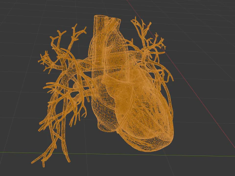 Realistic Human Heart 3D printable 3D Print Model
