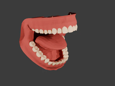Stilize Ağız Anatomisi 3D Baskı STL 3D Baskı Modeli