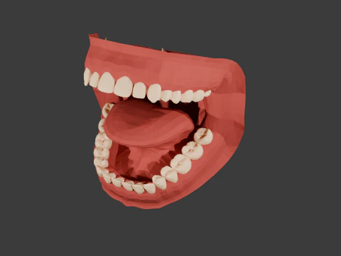 Stylized Mouth Anatomy 3D Print STL 3D Print Model