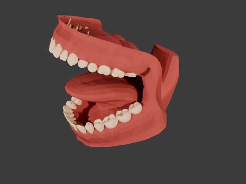 Stylized Mouth Anatomy 3D Print STL 3D Print Model