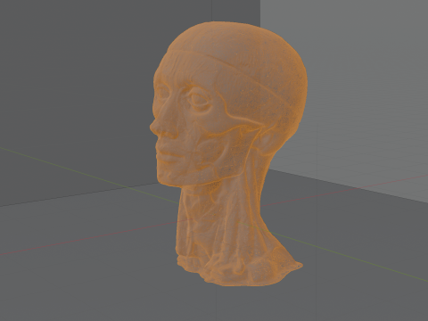 Highly Detailed Real Face Anatomy Realistic Fully Textured 3D Model