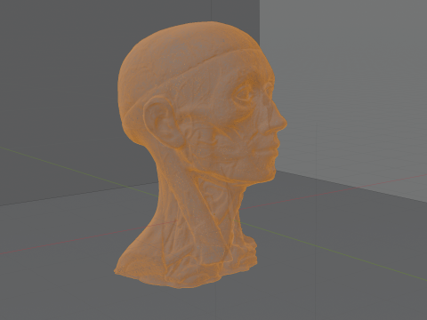 Highly Detailed Real Face Anatomy Realistic Fully Textured 3D Model