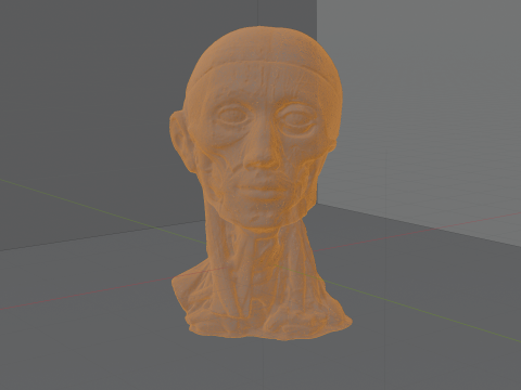 Highly Detailed Real Face Anatomy Realistic Fully Textured 3D Model