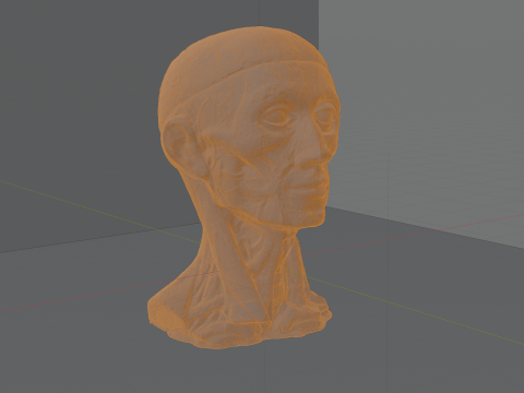 Highly Detailed Real Face Anatomy Realistic Fully Textured 3D Model