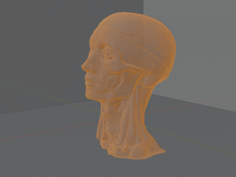 Highly Detailed Real Face Anatomy Realistic Fully Textured 3D Model