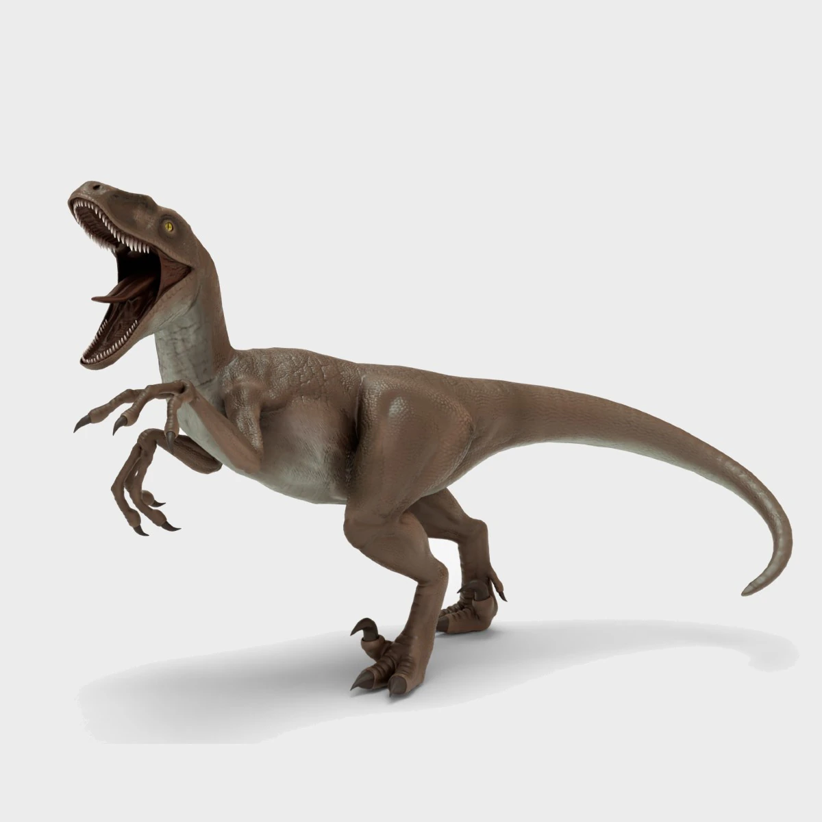 Realistic Velociraptor Rigged 3D Model .c4d .max .obj .3ds .fbx .stl .blend 