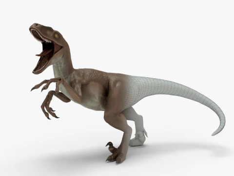 Realistic Velociraptor Rigged 3D Model