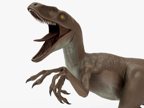 Realistic Velociraptor Rigged 3D Model