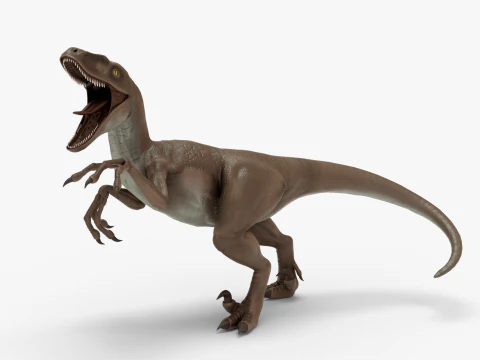 Realistic Velociraptor Rigged 3D Model