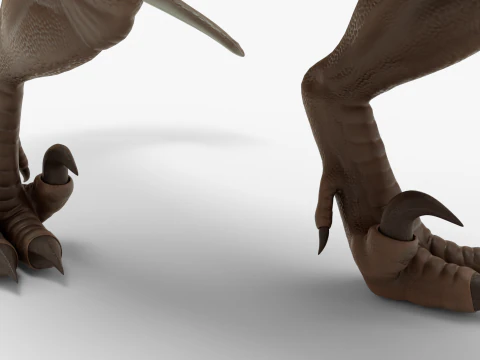Realistic Velociraptor Rigged 3D Model