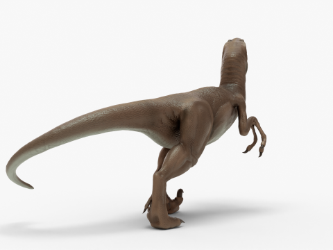 Velociraptor realista aparejado Modelo 3D