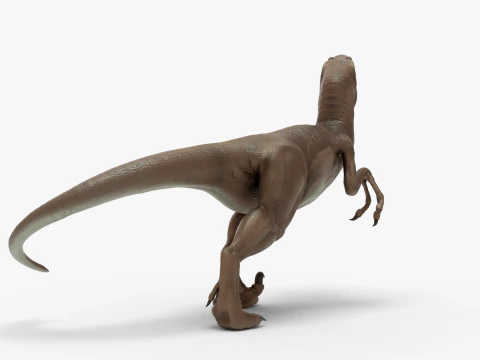 Realistic Velociraptor Rigged 3D Model