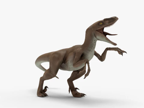 Realistic Velociraptor Rigged 3D Model
